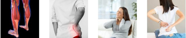 Pain Free Online Living Improve Wellbeing Support Spine Aligner Device