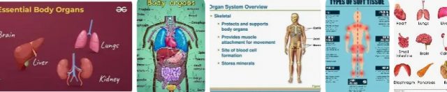 How Spine-Aligner Pain-Free Movement Natural Pain-Free