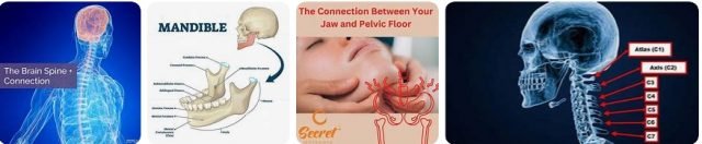 Jaw Spine Connection: The Hidden Link to Pain-Free Movement